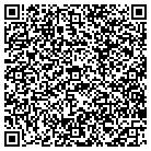 QR code with Blue Sky Window Service contacts