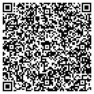 QR code with Blue Sky Window Service contacts