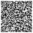 QR code with Carpet Store Inc contacts