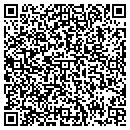 QR code with Carpet Gallery Inc contacts
