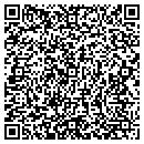 QR code with Precise Details contacts
