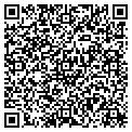 QR code with A Coin contacts