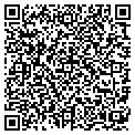 QR code with Lineup contacts