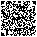 QR code with Istina contacts