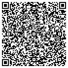QR code with Punch Networks Corporation contacts