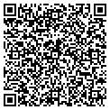 QR code with Sawnet contacts