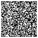 QR code with PR Motor Sports LLC contacts