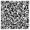QR code with Pawn X contacts