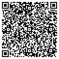 QR code with M G S contacts
