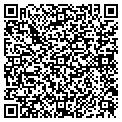 QR code with Divines contacts
