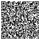 QR code with Pyrotite Corp contacts