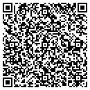 QR code with Premier Concepts Inc contacts