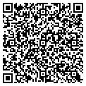 QR code with Pier 1 contacts