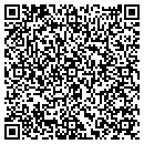 QR code with Pulla A Part contacts