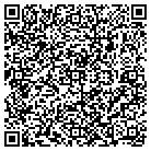 QR code with Publishers Circulation contacts