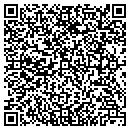 QR code with Putamus Design contacts