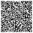 QR code with Promise Engineering contacts