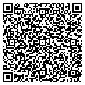 QR code with Logging contacts