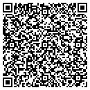 QR code with Catalytic Consulting contacts