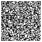 QR code with ESOLUTIONSONLINE.COM contacts