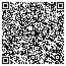 QR code with Pur Element contacts