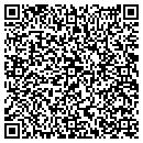 QR code with Psycle Werks contacts