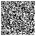 QR code with AMS contacts