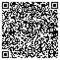 QR code with Shell contacts