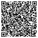 QR code with R Paul contacts