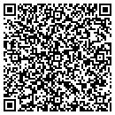 QR code with Chelsea's Enterprises contacts