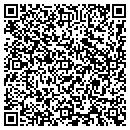 QR code with Cjs Lake View Resort contacts