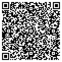 QR code with Willows contacts