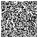 QR code with Provo Consulting Inc contacts