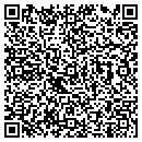 QR code with Puma Systems contacts