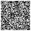 QR code with Cogent Communications contacts