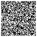 QR code with Professional Security contacts