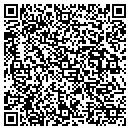 QR code with Practical Solutions contacts