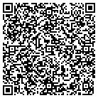 QR code with Badger Bobcat Service Inc contacts
