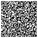 QR code with Brians Lawn Service contacts