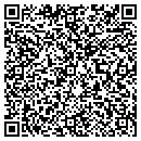 QR code with Pulaski Shell contacts