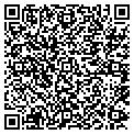 QR code with Nogginz contacts