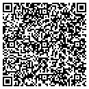 QR code with C S T Industries Inc contacts
