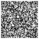 QR code with Punsel Auto contacts