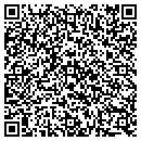 QR code with Public Storage contacts