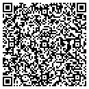 QR code with Premium Link contacts