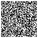 QR code with Capitol Pattern Inc contacts