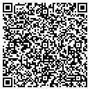 QR code with Puzzleworks LLC contacts