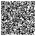 QR code with C Camp contacts