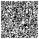 QR code with Pulaski Financial Center contacts