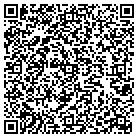 QR code with Badger Technologies Inc contacts